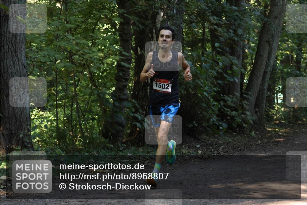 28.09.2025 - 33. Volkslauf durch das schöne Alstertal Strokosch-Dieckow http://msf.ph/oto/8968807 28.09.2025 11:16:24 Laufen 1502 meine-sportfotos.de