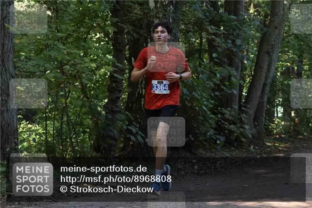 28.09.2025 - 33. Volkslauf durch das schöne Alstertal Strokosch-Dieckow http://msf.ph/oto/8968808 28.09.2025 11:16:29 Laufen 3364 meine-sportfotos.de