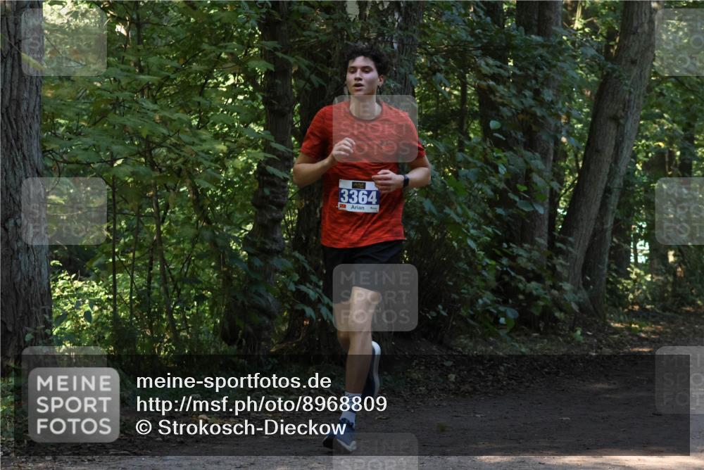 28.09.2025 - 33. Volkslauf durch das schöne Alstertal Strokosch-Dieckow http://msf.ph/oto/8968809 28.09.2025 11:16:29 Laufen 3364 meine-sportfotos.de