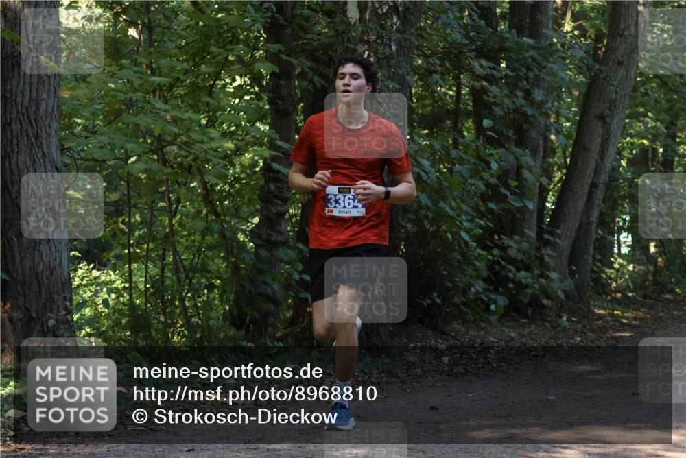 28.09.2025 - 33. Volkslauf durch das schöne Alstertal Strokosch-Dieckow http://msf.ph/oto/8968810 28.09.2025 11:16:29 Laufen 3364 meine-sportfotos.de