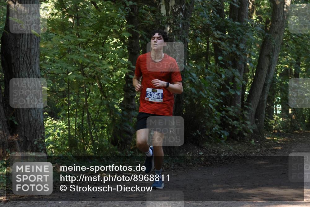 28.09.2025 - 33. Volkslauf durch das schöne Alstertal Strokosch-Dieckow http://msf.ph/oto/8968811 28.09.2025 11:16:29 Laufen 3364 meine-sportfotos.de