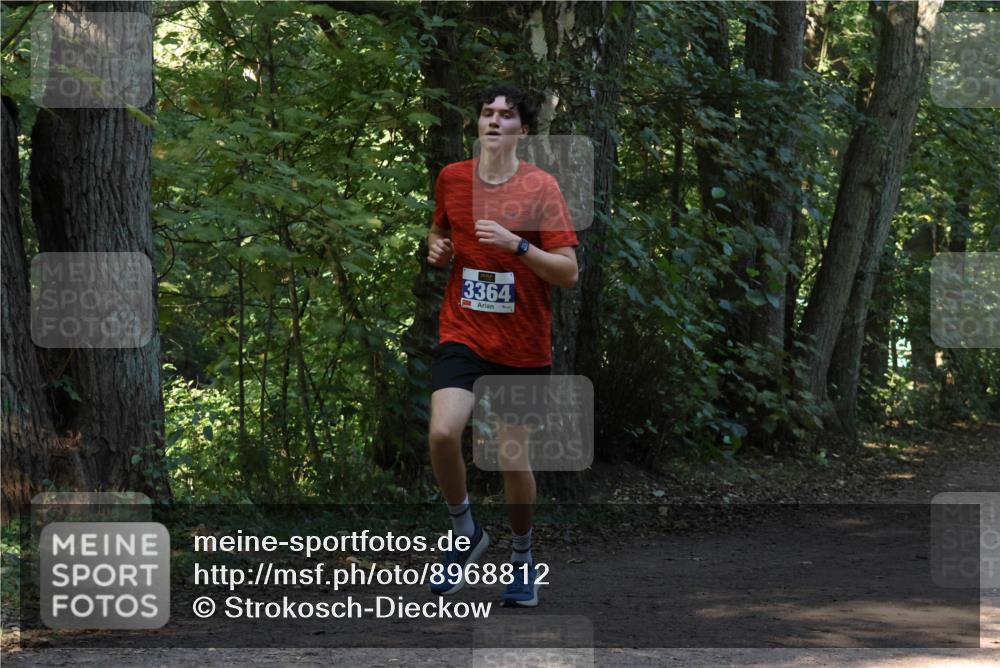 28.09.2025 - 33. Volkslauf durch das schöne Alstertal Strokosch-Dieckow http://msf.ph/oto/8968812 28.09.2025 11:16:29 Laufen 3364 meine-sportfotos.de