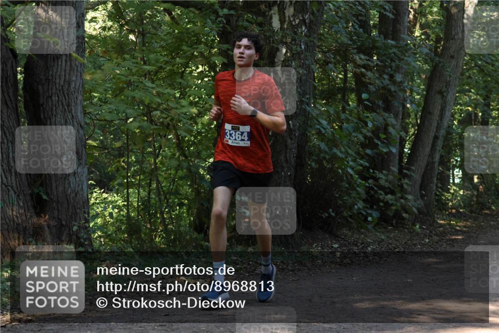 28.09.2025 - 33. Volkslauf durch das schöne Alstertal Strokosch-Dieckow http://msf.ph/oto/8968813 28.09.2025 11:16:29 Laufen 3364 meine-sportfotos.de