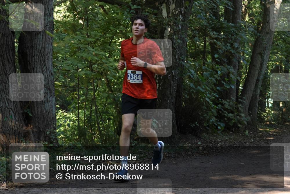 28.09.2025 - 33. Volkslauf durch das schöne Alstertal Strokosch-Dieckow http://msf.ph/oto/8968814 28.09.2025 11:16:29 Laufen 3364 meine-sportfotos.de