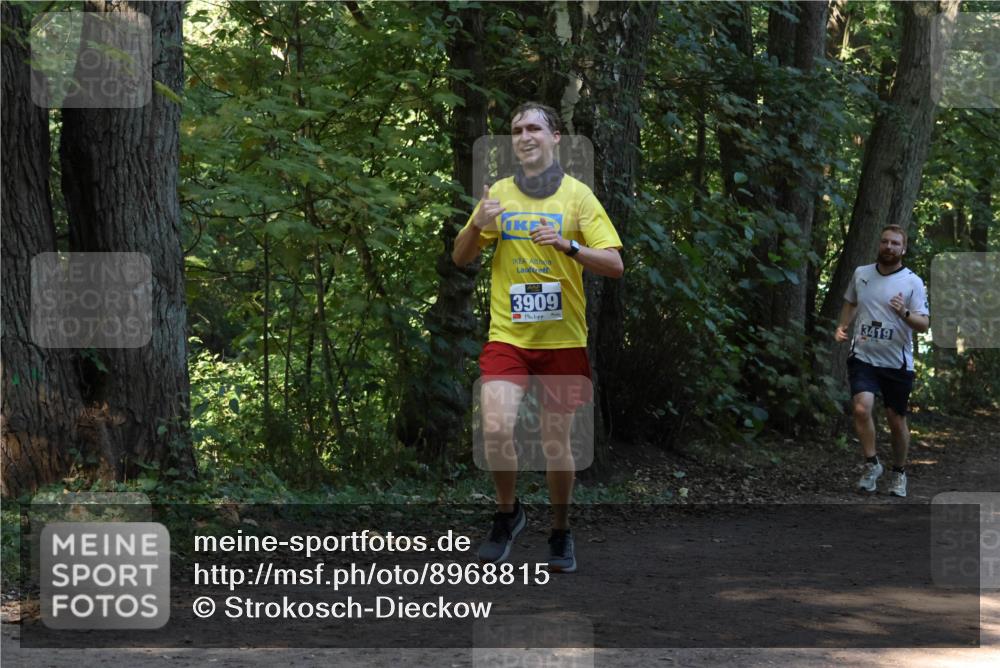 28.09.2025 - 33. Volkslauf durch das schöne Alstertal Strokosch-Dieckow http://msf.ph/oto/8968815 28.09.2025 11:16:58 Laufen 3909, 3419 meine-sportfotos.de