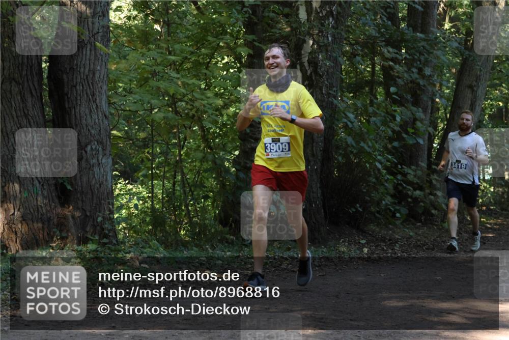 28.09.2025 - 33. Volkslauf durch das schöne Alstertal Strokosch-Dieckow http://msf.ph/oto/8968816 28.09.2025 11:16:58 Laufen 3909, 3419 meine-sportfotos.de