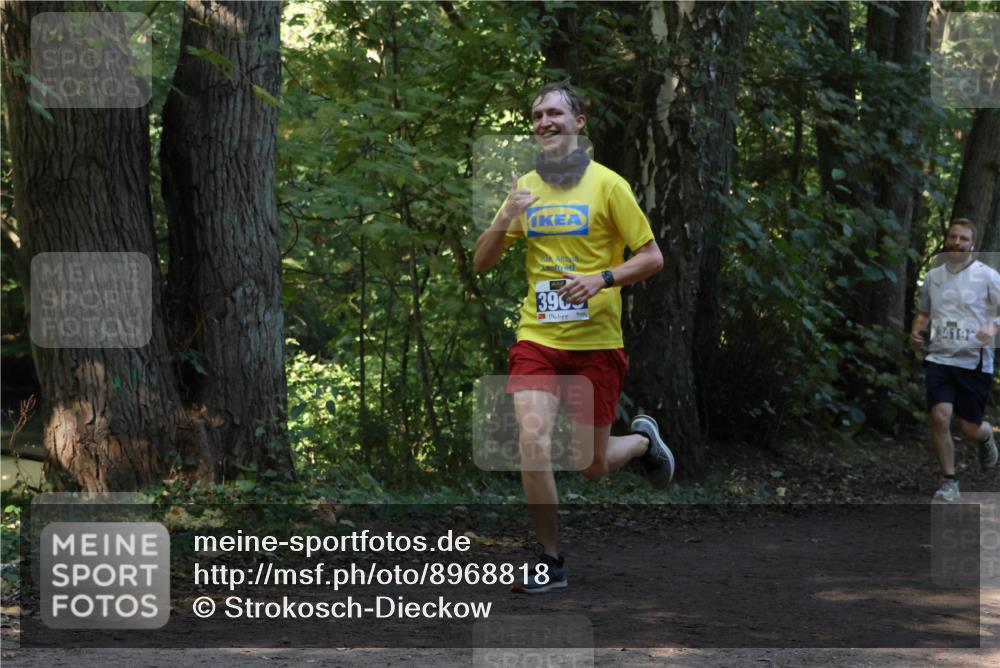 28.09.2025 - 33. Volkslauf durch das schöne Alstertal Strokosch-Dieckow http://msf.ph/oto/8968818 28.09.2025 11:16:58 Laufen 390, 3419 meine-sportfotos.de