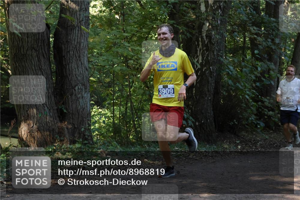 28.09.2025 - 33. Volkslauf durch das schöne Alstertal Strokosch-Dieckow http://msf.ph/oto/8968819 28.09.2025 11:16:58 Laufen 3909, 3419 meine-sportfotos.de