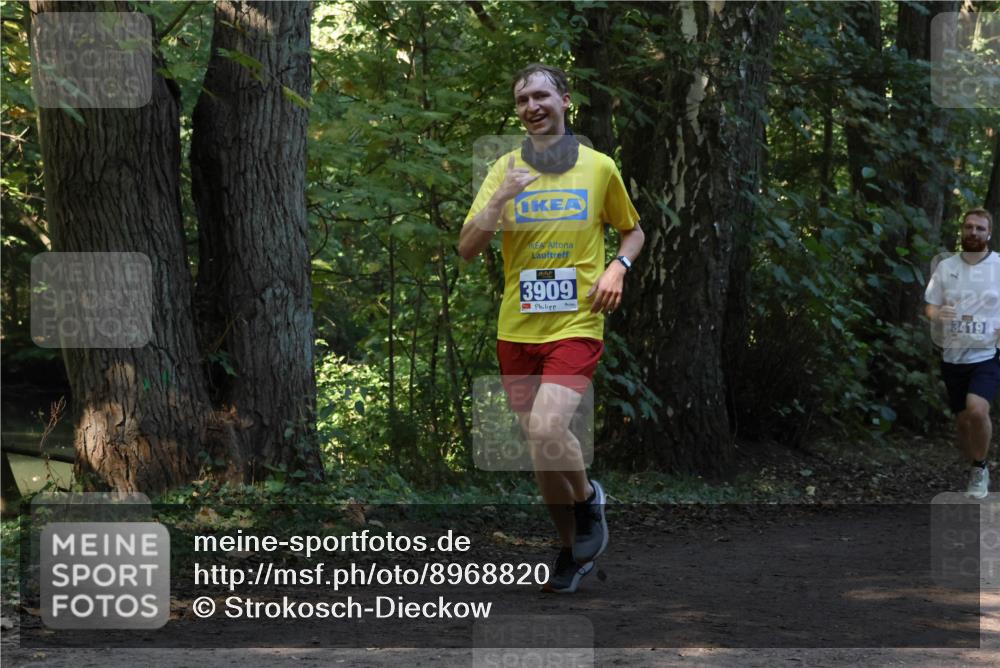 28.09.2025 - 33. Volkslauf durch das schöne Alstertal Strokosch-Dieckow http://msf.ph/oto/8968820 28.09.2025 11:16:58 Laufen 3909, 13419 meine-sportfotos.de