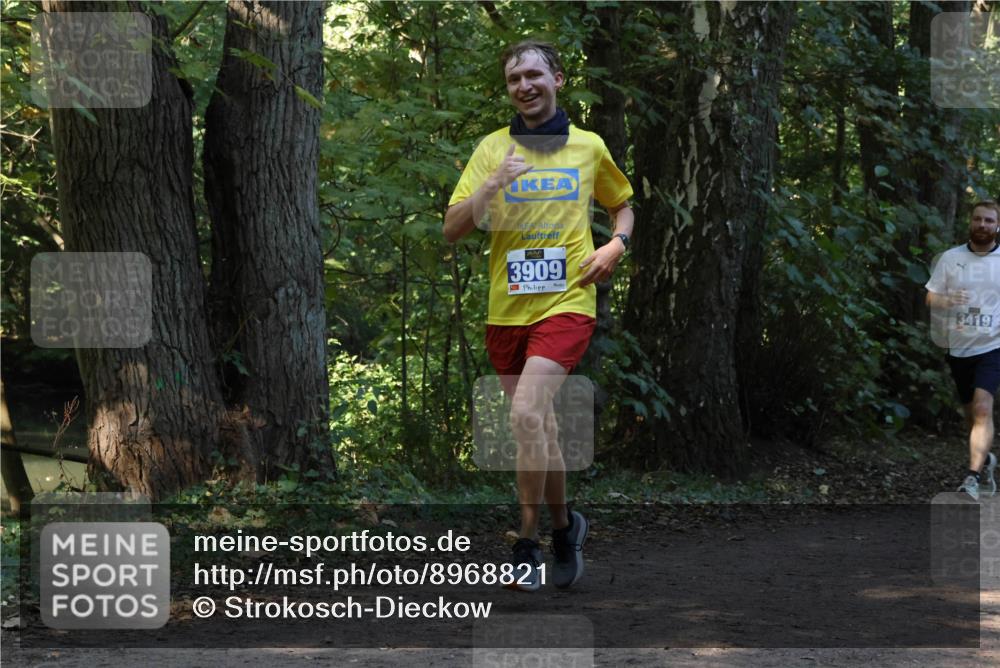 28.09.2025 - 33. Volkslauf durch das schöne Alstertal Strokosch-Dieckow http://msf.ph/oto/8968821 28.09.2025 11:16:58 Laufen 3909, 3419 meine-sportfotos.de