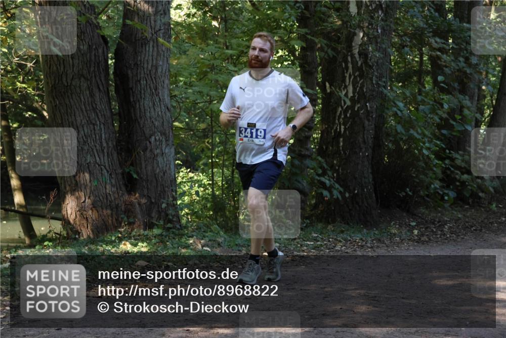 28.09.2025 - 33. Volkslauf durch das schöne Alstertal Strokosch-Dieckow http://msf.ph/oto/8968822 28.09.2025 11:17:00 Laufen 3419 meine-sportfotos.de