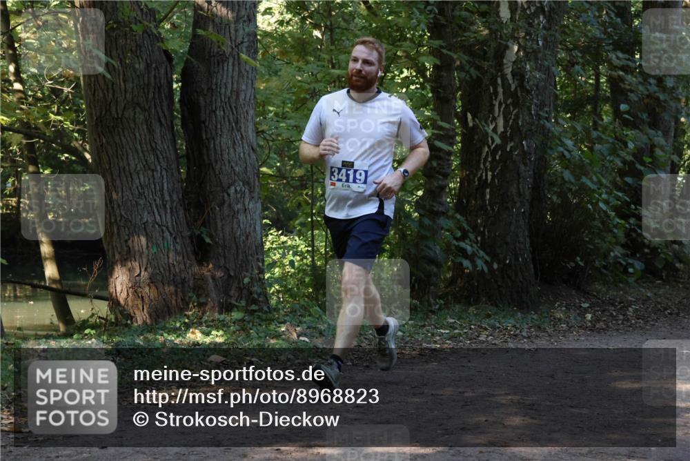28.09.2025 - 33. Volkslauf durch das schöne Alstertal Strokosch-Dieckow http://msf.ph/oto/8968823 28.09.2025 11:17:01 Laufen 3419 meine-sportfotos.de