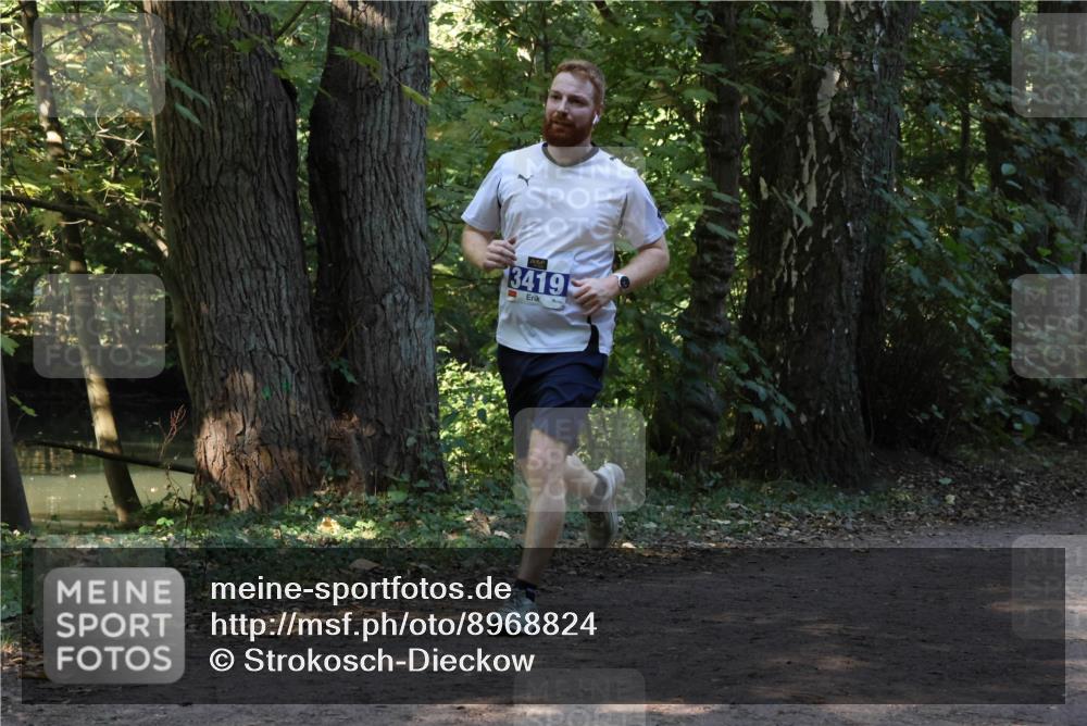 28.09.2025 - 33. Volkslauf durch das schöne Alstertal Strokosch-Dieckow http://msf.ph/oto/8968824 28.09.2025 11:17:01 Laufen 3419 meine-sportfotos.de