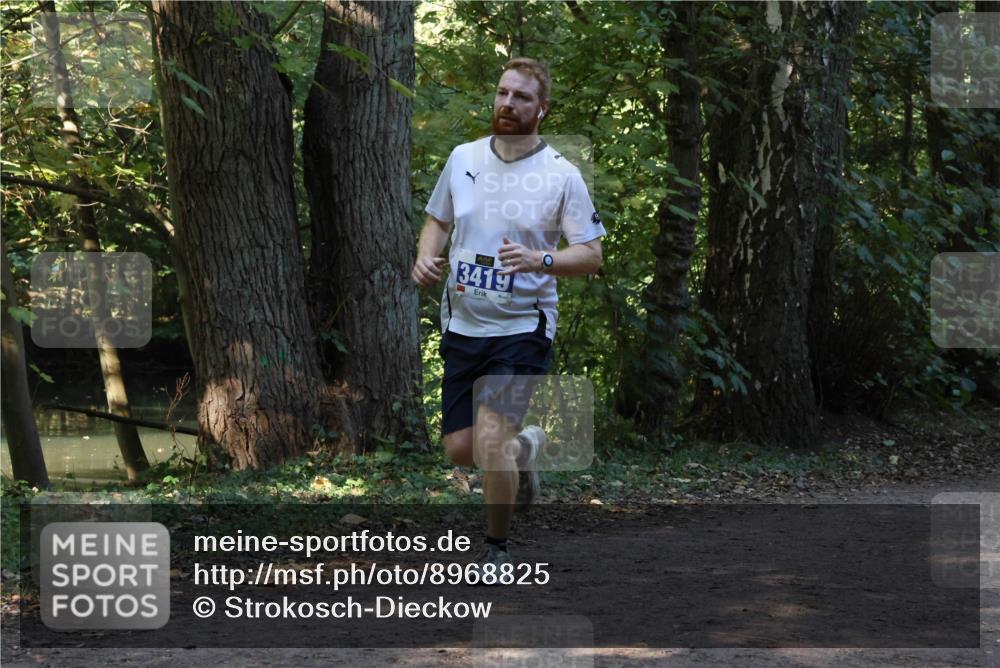 28.09.2025 - 33. Volkslauf durch das schöne Alstertal Strokosch-Dieckow http://msf.ph/oto/8968825 28.09.2025 11:17:01 Laufen 3419 meine-sportfotos.de