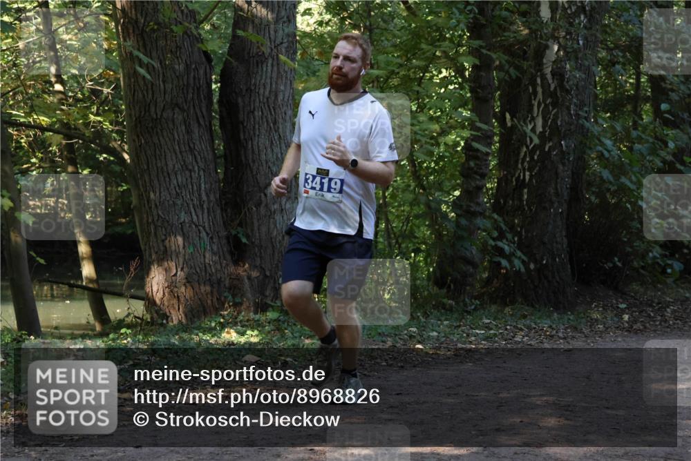 28.09.2025 - 33. Volkslauf durch das schöne Alstertal Strokosch-Dieckow http://msf.ph/oto/8968826 28.09.2025 11:17:01 Laufen 3419 meine-sportfotos.de