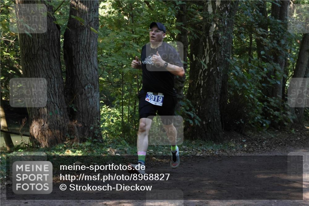 28.09.2025 - 33. Volkslauf durch das schöne Alstertal Strokosch-Dieckow http://msf.ph/oto/8968827 28.09.2025 11:17:04 Laufen 55, 3919 meine-sportfotos.de