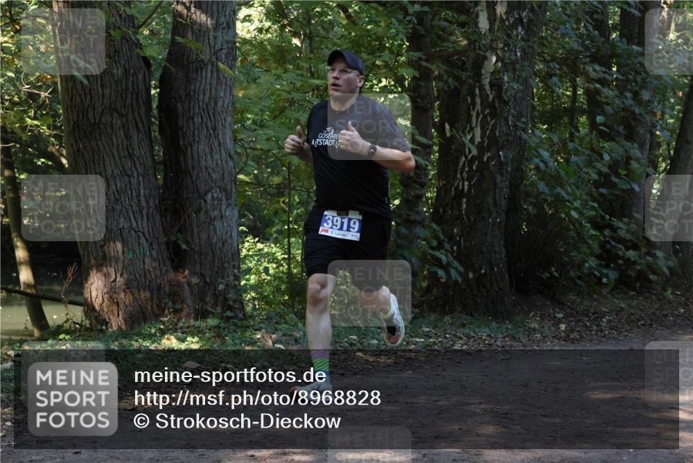 28.09.2025 - 33. Volkslauf durch das schöne Alstertal Strokosch-Dieckow http://msf.ph/oto/8968828 28.09.2025 11:17:04 Laufen 3919 meine-sportfotos.de