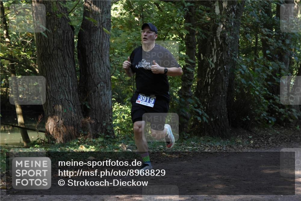 28.09.2025 - 33. Volkslauf durch das schöne Alstertal Strokosch-Dieckow http://msf.ph/oto/8968829 28.09.2025 11:17:04 Laufen 3919 meine-sportfotos.de