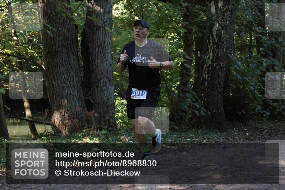 28.09.2025 - 33. Volkslauf durch das schöne Alstertal Strokosch-Dieckow http://msf.ph/oto/8968830 28.09.2025 11:17:05 Laufen 3919 meine-sportfotos.de