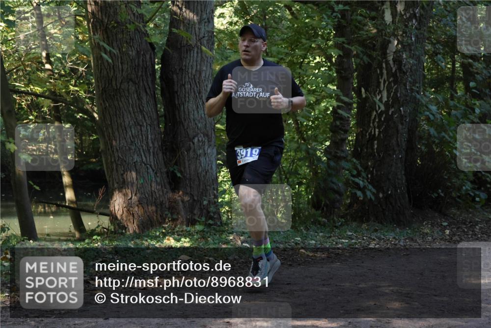 28.09.2025 - 33. Volkslauf durch das schöne Alstertal Strokosch-Dieckow http://msf.ph/oto/8968831 28.09.2025 11:17:05 Laufen 3919 meine-sportfotos.de