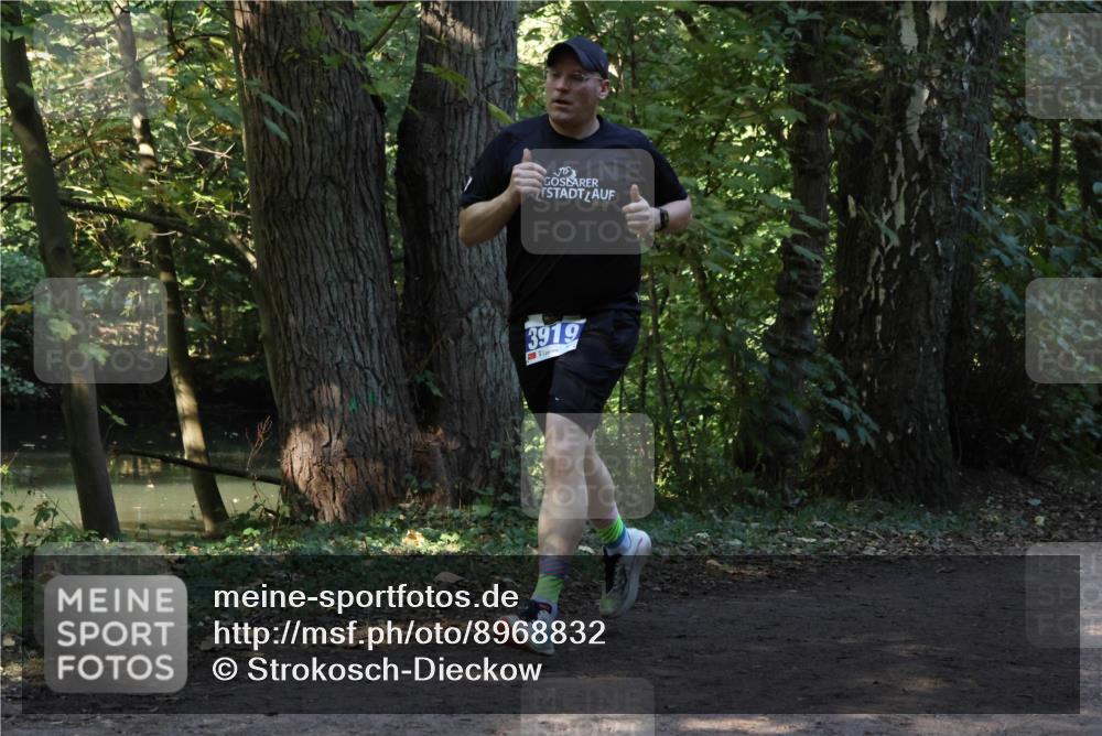 28.09.2025 - 33. Volkslauf durch das schöne Alstertal Strokosch-Dieckow http://msf.ph/oto/8968832 28.09.2025 11:17:05 Laufen 3919 meine-sportfotos.de