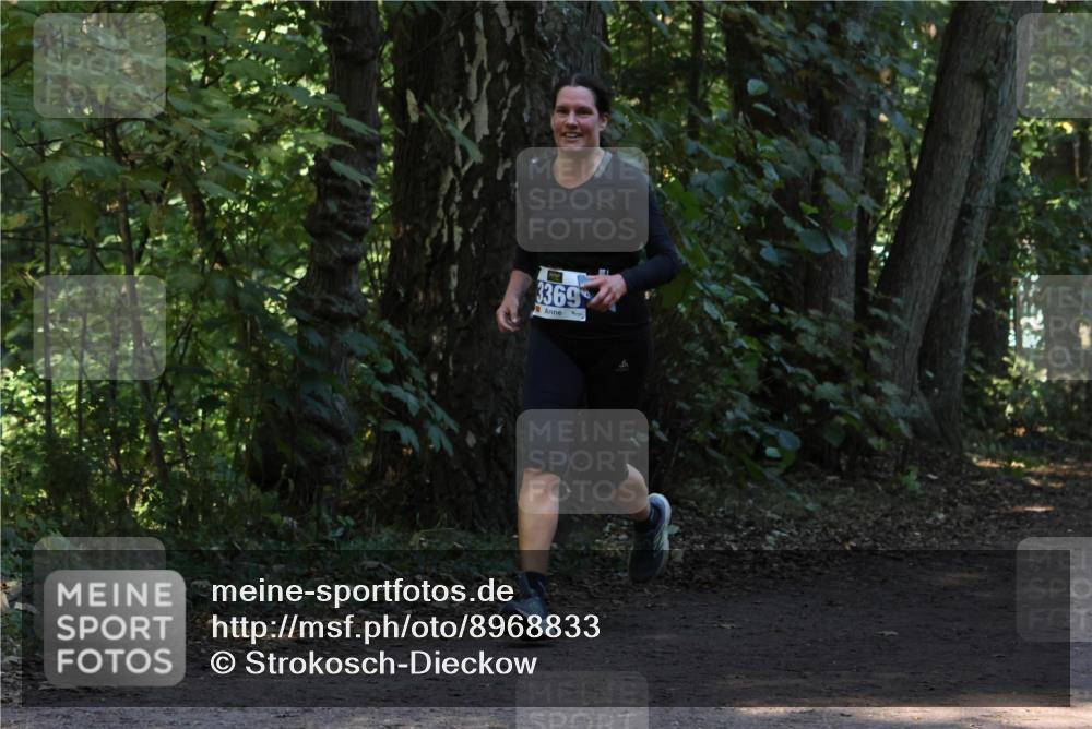 28.09.2025 - 33. Volkslauf durch das schöne Alstertal Strokosch-Dieckow http://msf.ph/oto/8968833 28.09.2025 11:17:14 Laufen 3369 meine-sportfotos.de