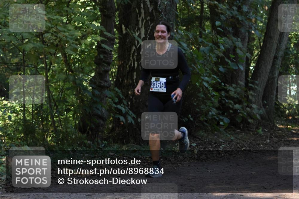 28.09.2025 - 33. Volkslauf durch das schöne Alstertal Strokosch-Dieckow http://msf.ph/oto/8968834 28.09.2025 11:17:14 Laufen 3369 meine-sportfotos.de