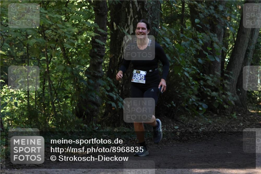 28.09.2025 - 33. Volkslauf durch das schöne Alstertal Strokosch-Dieckow http://msf.ph/oto/8968835 28.09.2025 11:17:14 Laufen 3369 meine-sportfotos.de