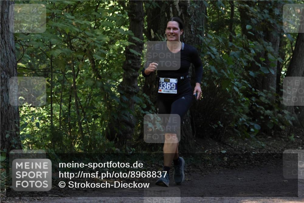 28.09.2025 - 33. Volkslauf durch das schöne Alstertal Strokosch-Dieckow http://msf.ph/oto/8968837 28.09.2025 11:17:14 Laufen 3369 meine-sportfotos.de