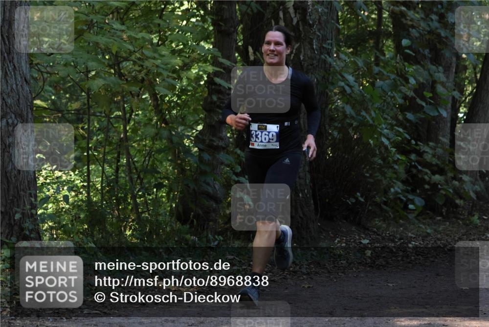 28.09.2025 - 33. Volkslauf durch das schöne Alstertal Strokosch-Dieckow http://msf.ph/oto/8968838 28.09.2025 11:17:14 Laufen 3369, 9 meine-sportfotos.de