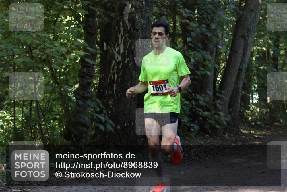 28.09.2025 - 33. Volkslauf durch das schöne Alstertal Strokosch-Dieckow http://msf.ph/oto/8968839 28.09.2025 11:17:22 Laufen 1501 meine-sportfotos.de