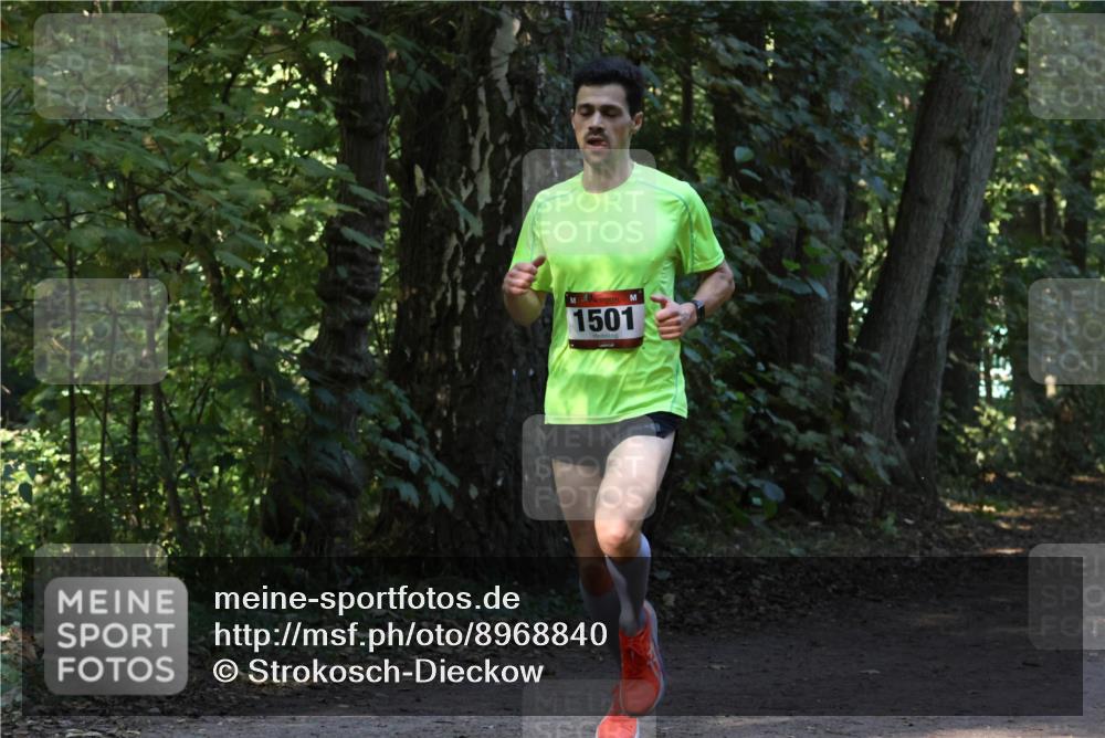 28.09.2025 - 33. Volkslauf durch das schöne Alstertal Strokosch-Dieckow http://msf.ph/oto/8968840 28.09.2025 11:17:22 Laufen 1501 meine-sportfotos.de
