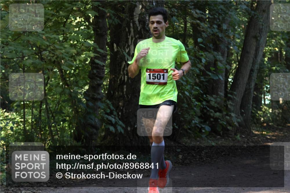 28.09.2025 - 33. Volkslauf durch das schöne Alstertal Strokosch-Dieckow http://msf.ph/oto/8968841 28.09.2025 11:17:22 Laufen 1501 meine-sportfotos.de