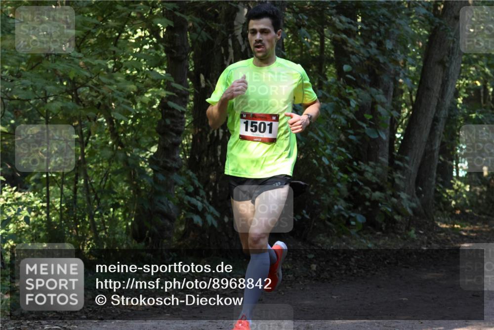 28.09.2025 - 33. Volkslauf durch das schöne Alstertal Strokosch-Dieckow http://msf.ph/oto/8968842 28.09.2025 11:17:22 Laufen 1501 meine-sportfotos.de
