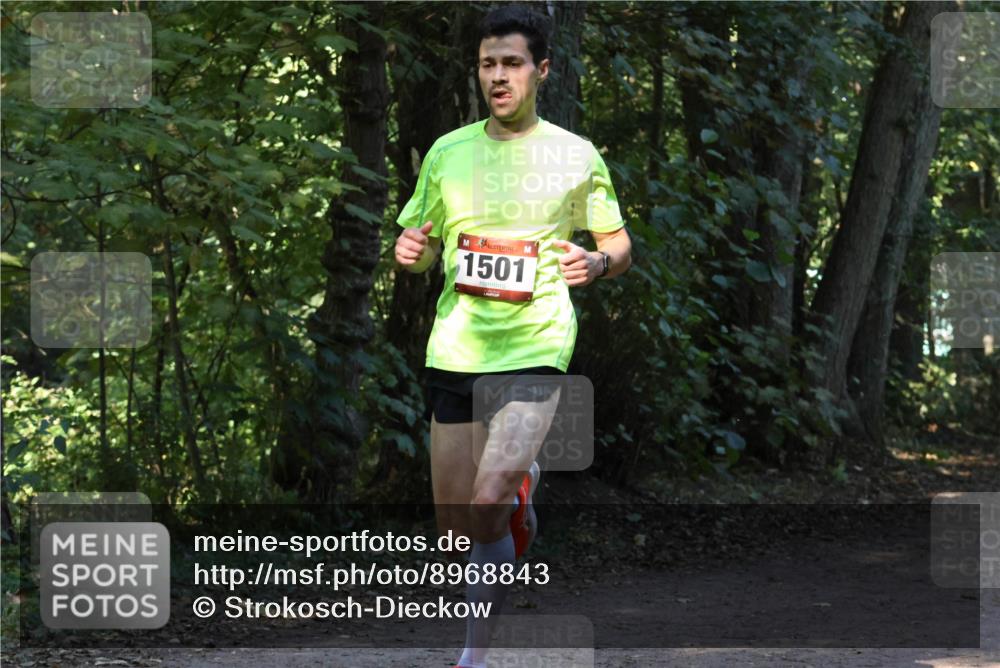 28.09.2025 - 33. Volkslauf durch das schöne Alstertal Strokosch-Dieckow http://msf.ph/oto/8968843 28.09.2025 11:17:22 Laufen 1501 meine-sportfotos.de
