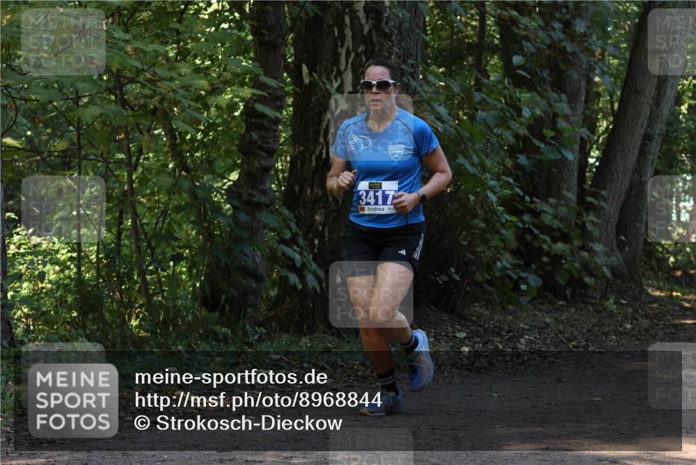 28.09.2025 - 33. Volkslauf durch das schöne Alstertal Strokosch-Dieckow http://msf.ph/oto/8968844 28.09.2025 11:17:25 Laufen 3417 meine-sportfotos.de