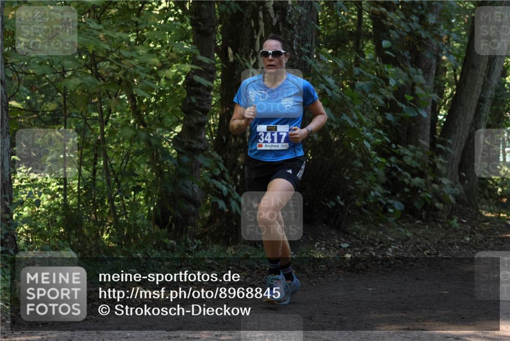 28.09.2025 - 33. Volkslauf durch das schöne Alstertal Strokosch-Dieckow http://msf.ph/oto/8968845 28.09.2025 11:17:25 Laufen 3417 meine-sportfotos.de