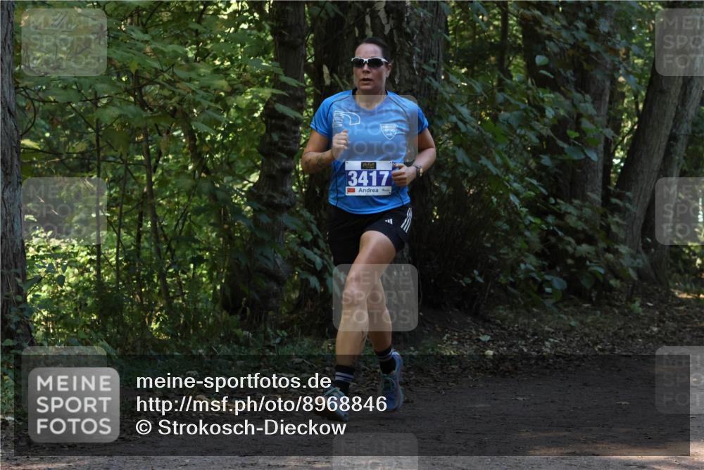 28.09.2025 - 33. Volkslauf durch das schöne Alstertal Strokosch-Dieckow http://msf.ph/oto/8968846 28.09.2025 11:17:25 Laufen 3417 meine-sportfotos.de