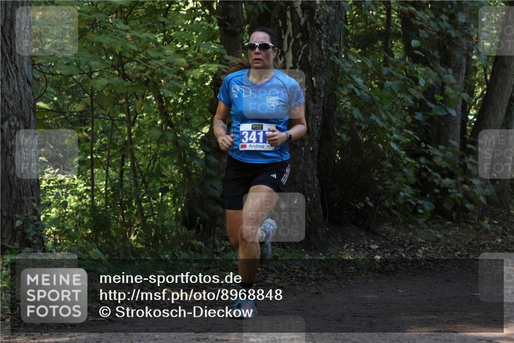 28.09.2025 - 33. Volkslauf durch das schöne Alstertal Strokosch-Dieckow http://msf.ph/oto/8968848 28.09.2025 11:17:25 Laufen 341 meine-sportfotos.de