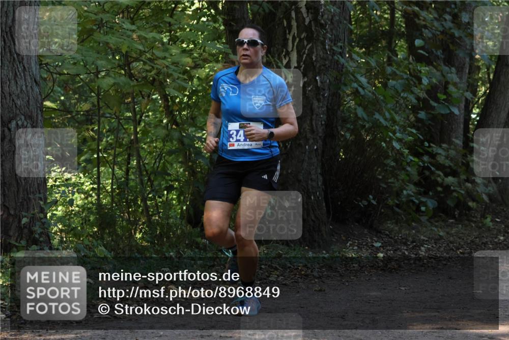 28.09.2025 - 33. Volkslauf durch das schöne Alstertal Strokosch-Dieckow http://msf.ph/oto/8968849 28.09.2025 11:17:25 Laufen 34 meine-sportfotos.de