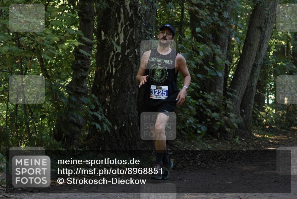 28.09.2025 - 33. Volkslauf durch das schöne Alstertal Strokosch-Dieckow http://msf.ph/oto/8968851 28.09.2025 11:17:27 Laufen 3225 meine-sportfotos.de