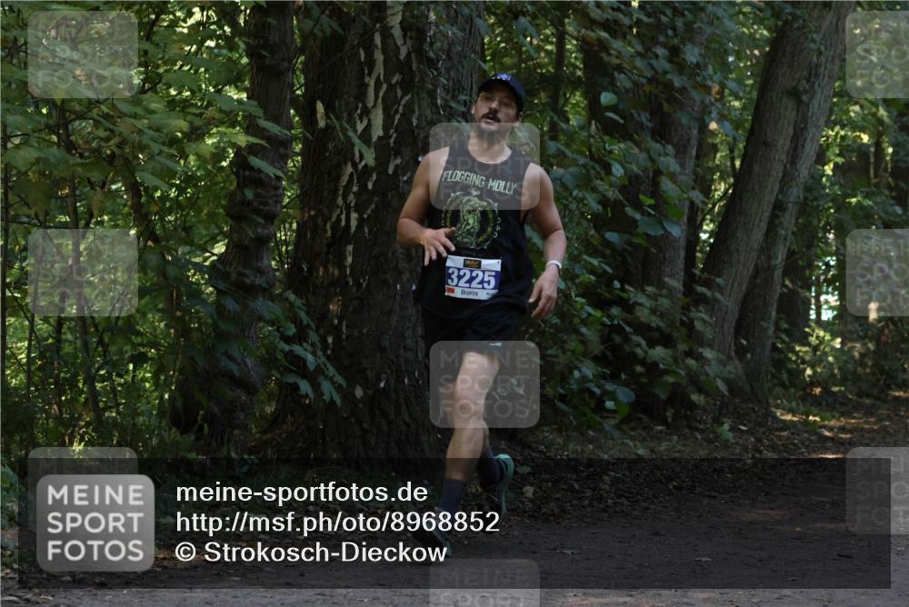 28.09.2025 - 33. Volkslauf durch das schöne Alstertal Strokosch-Dieckow http://msf.ph/oto/8968852 28.09.2025 11:17:27 Laufen 3225 meine-sportfotos.de