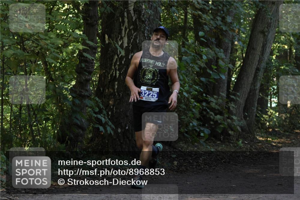 28.09.2025 - 33. Volkslauf durch das schöne Alstertal Strokosch-Dieckow http://msf.ph/oto/8968853 28.09.2025 11:17:27 Laufen 3225 meine-sportfotos.de