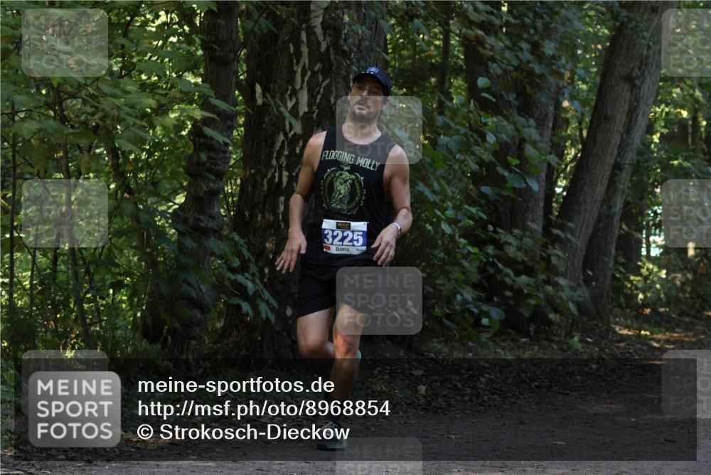 28.09.2025 - 33. Volkslauf durch das schöne Alstertal Strokosch-Dieckow http://msf.ph/oto/8968854 28.09.2025 11:17:27 Laufen 3225 meine-sportfotos.de