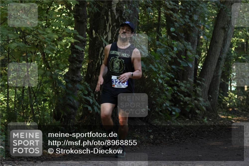 28.09.2025 - 33. Volkslauf durch das schöne Alstertal Strokosch-Dieckow http://msf.ph/oto/8968855 28.09.2025 11:17:27 Laufen 3223 meine-sportfotos.de