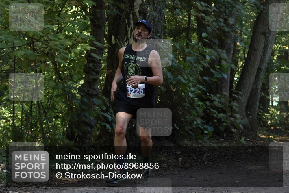 28.09.2025 - 33. Volkslauf durch das schöne Alstertal Strokosch-Dieckow http://msf.ph/oto/8968856 28.09.2025 11:17:27 Laufen 3225 meine-sportfotos.de