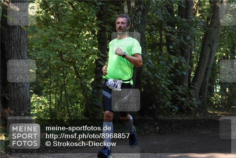 28.09.2025 - 33. Volkslauf durch das schöne Alstertal Strokosch-Dieckow http://msf.ph/oto/8968857 28.09.2025 11:17:33 Laufen 3078 meine-sportfotos.de