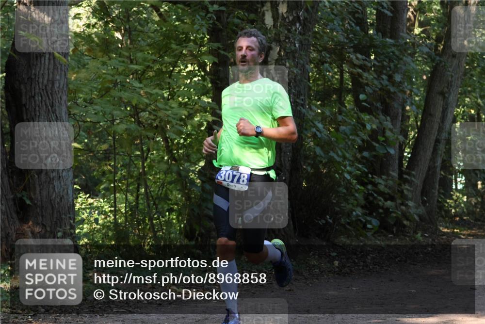 28.09.2025 - 33. Volkslauf durch das schöne Alstertal Strokosch-Dieckow http://msf.ph/oto/8968858 28.09.2025 11:17:33 Laufen 3078 meine-sportfotos.de