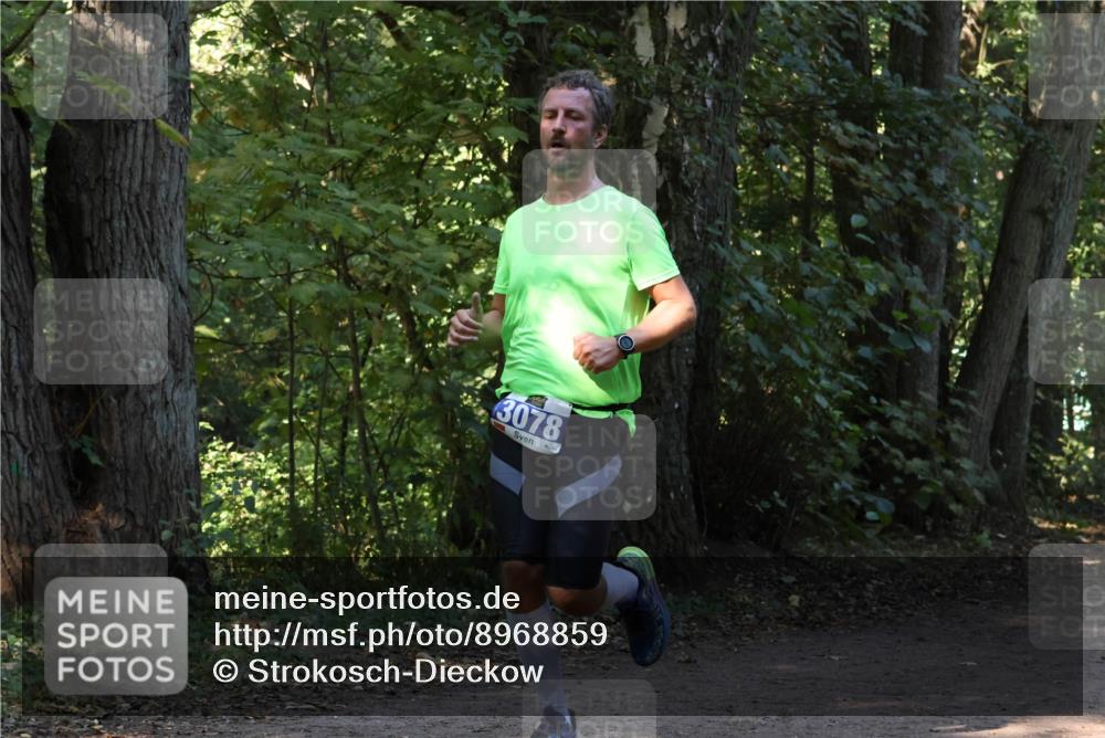 28.09.2025 - 33. Volkslauf durch das schöne Alstertal Strokosch-Dieckow http://msf.ph/oto/8968859 28.09.2025 11:17:33 Laufen 3078 meine-sportfotos.de