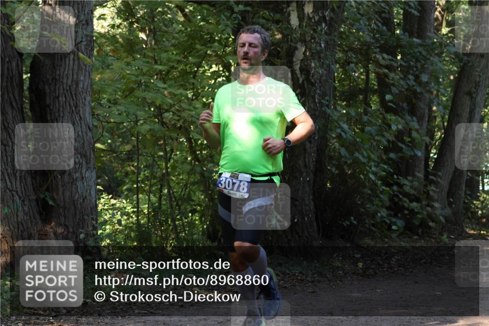 28.09.2025 - 33. Volkslauf durch das schöne Alstertal Strokosch-Dieckow http://msf.ph/oto/8968860 28.09.2025 11:17:33 Laufen 3078 meine-sportfotos.de